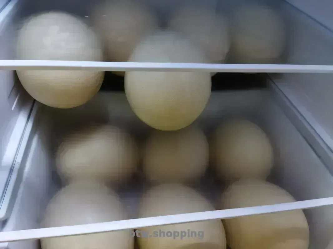 Продаю Столові страусині яйця (805 грн). - btw.shopping