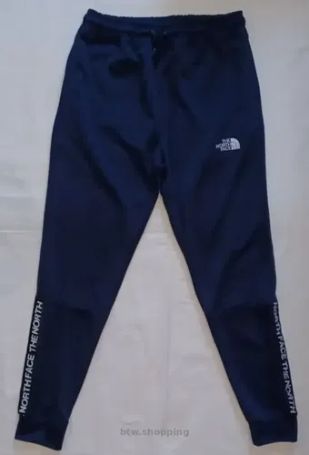 Спортивные штаны THE NORTH FASE