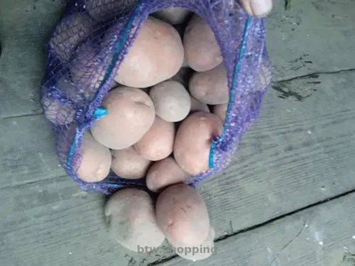 Продам картоплю сорт Бела Роса