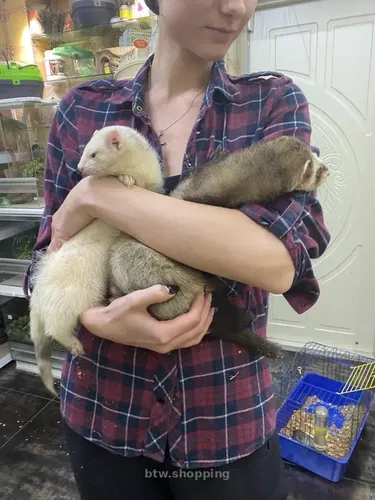 Декоративні ручні тхорики