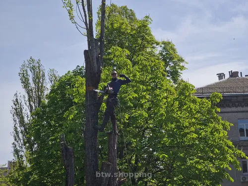 Зрізання аварійніх дерев