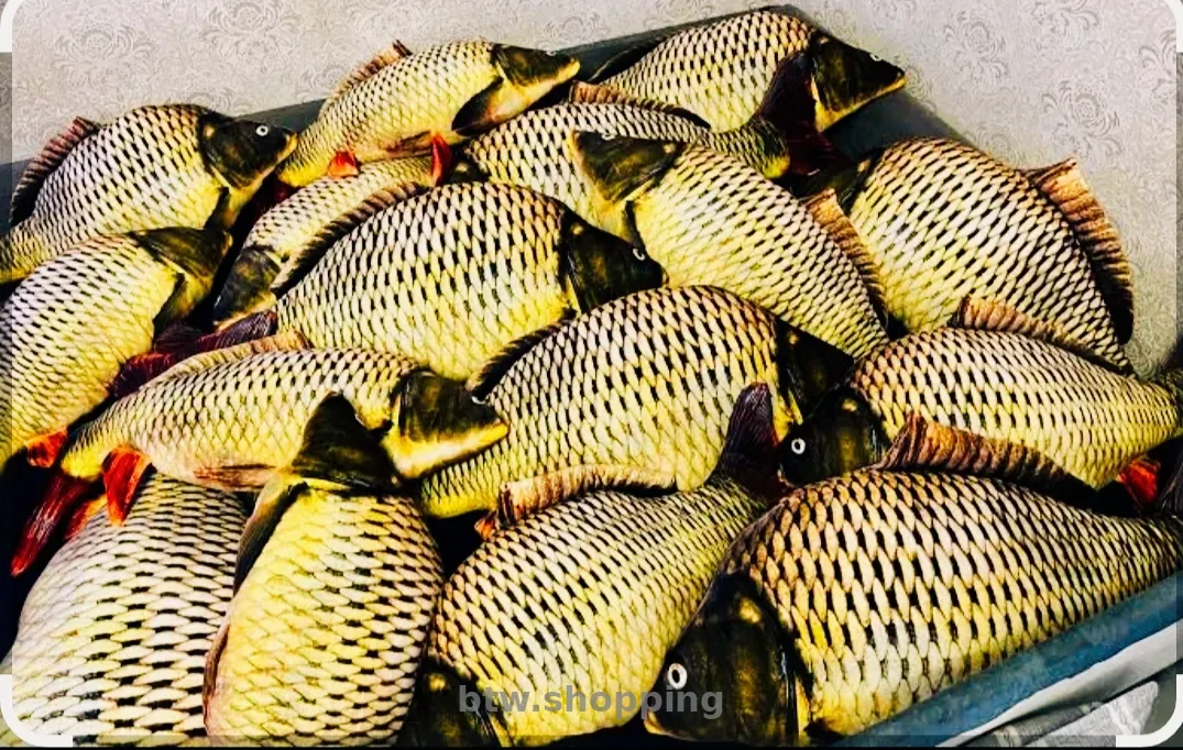 Подушка игрушка антистресс рыба Карп - btw.shopping