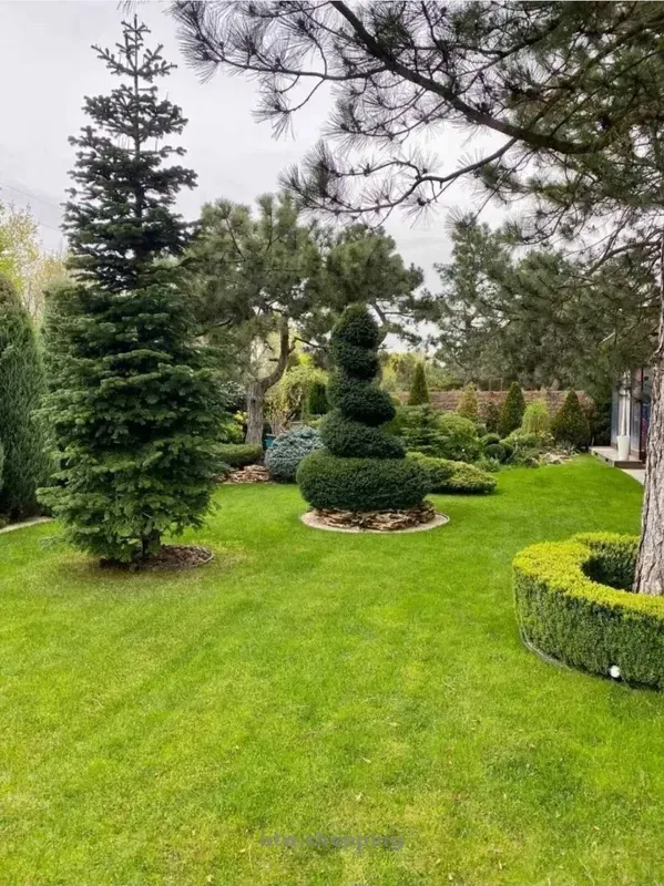 Аренда нового дизайнерского дома в элитном поселке Сосновый Берег - btw.shopping