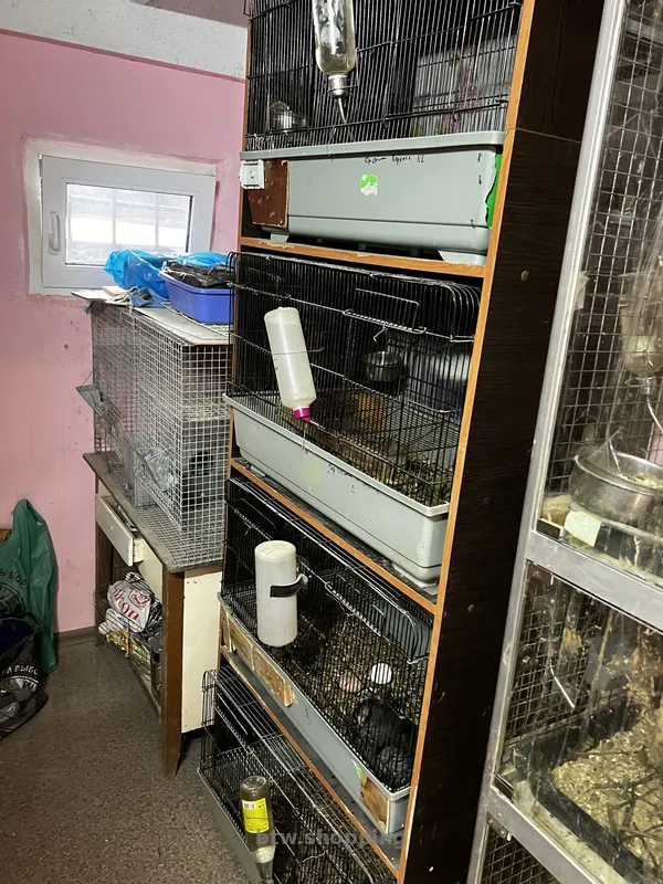 Продам питомник для шиншилл - btw.shopping