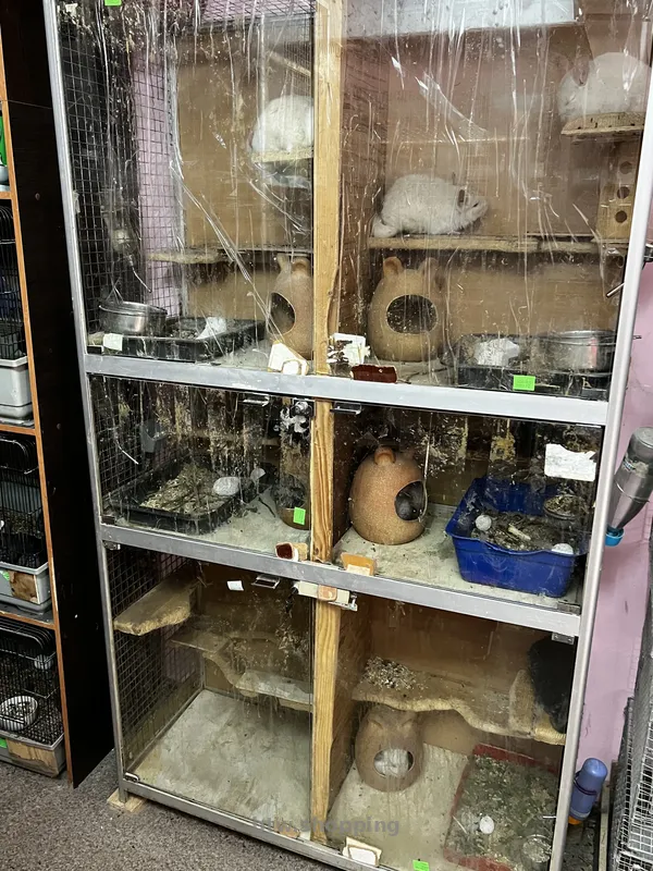 Продам питомник для шиншилл - btw.shopping