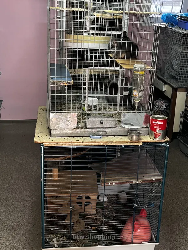 Продам питомник для шиншилл - btw.shopping