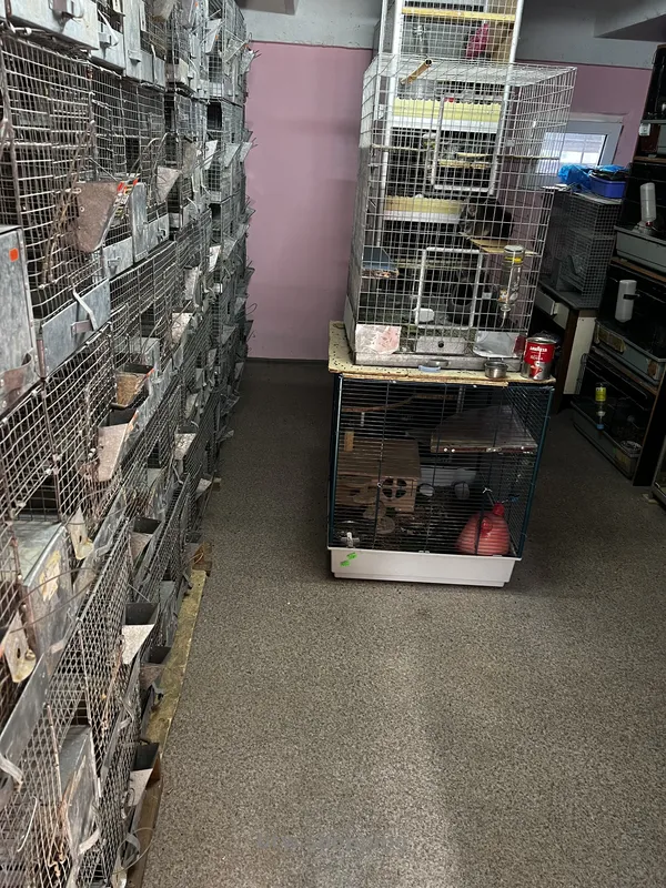 Продам питомник для шиншилл - btw.shopping