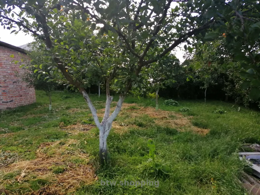 Продається будинок, Підволочиськ, Тернопільська область. - btw.shopping