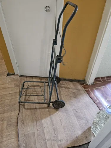 Велика кравчучка