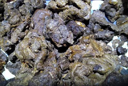 Прополис Лесной (без обработки и добавок), 100г