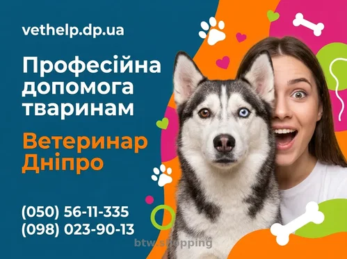 Виклик ветеринара додому Дніпро, Кастрація, Стерилізація