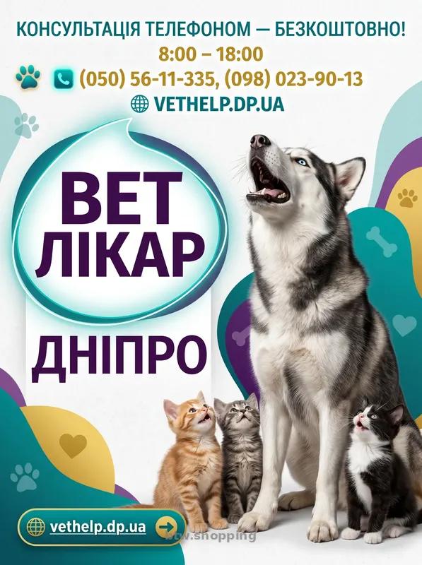 Виклик ветеринара додому Дніпро, Кастрація, Стерилізація - btw.shopping