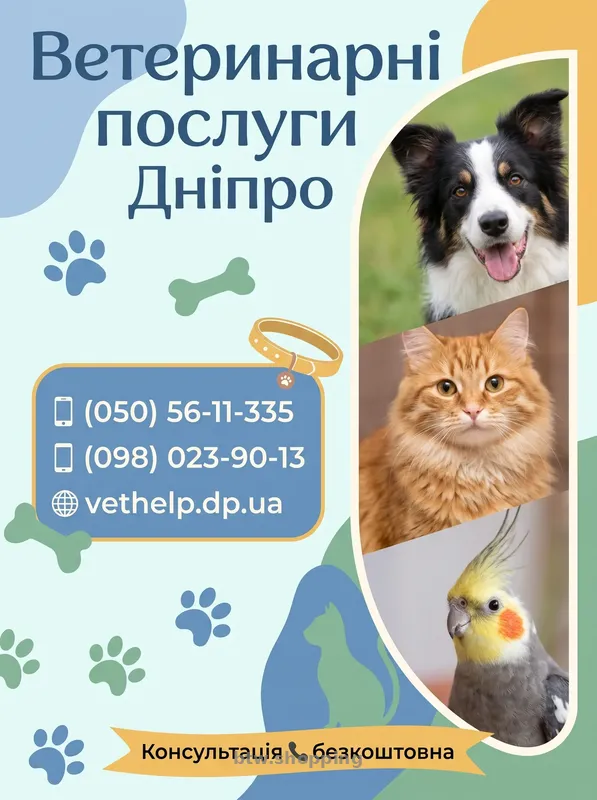 Виклик ветеринара додому Дніпро, Кастрація, Стерилізація - btw.shopping